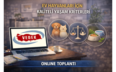 Ev Hayvanları İçin Kaliteli Yaşam Kriterleri